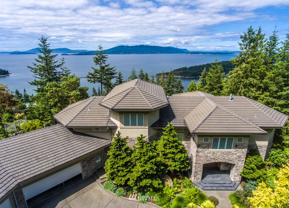 a view of a backyard with plants and a garden