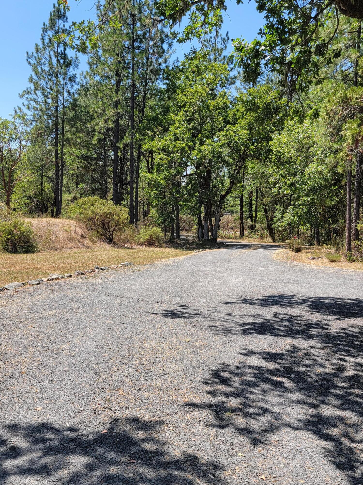 2599 Chapman Creek Road Cave Junction, OR 97523 - Photo 36 of 50 20230801_132356