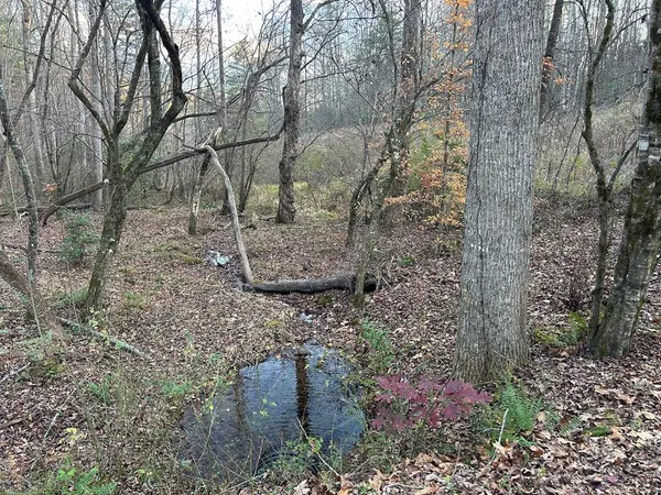 $25,000 | Lot 12 Tombstone Drive, Blairsville, GA 30512