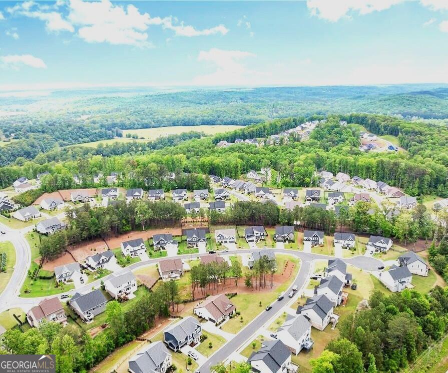 7985 Welch Mill Ball Ground, GA 30107 - Photo 56 of 60