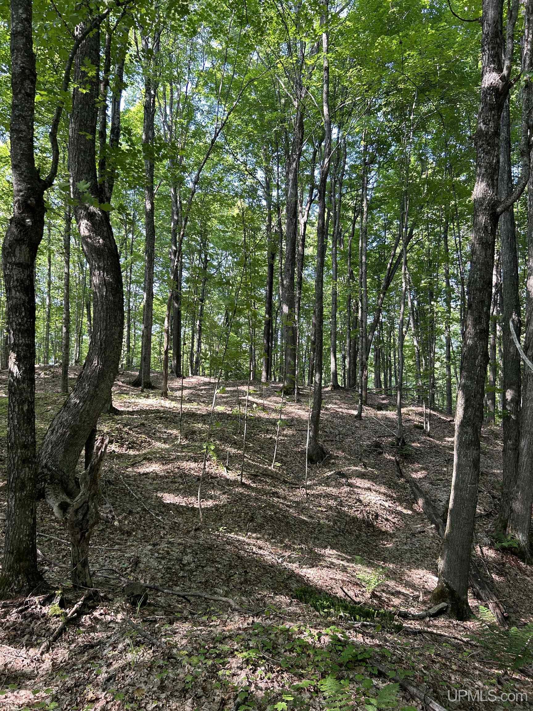 Tbd Tbd Ski Hill Road Little Lake, MI 49833 - Photo 9 of 29