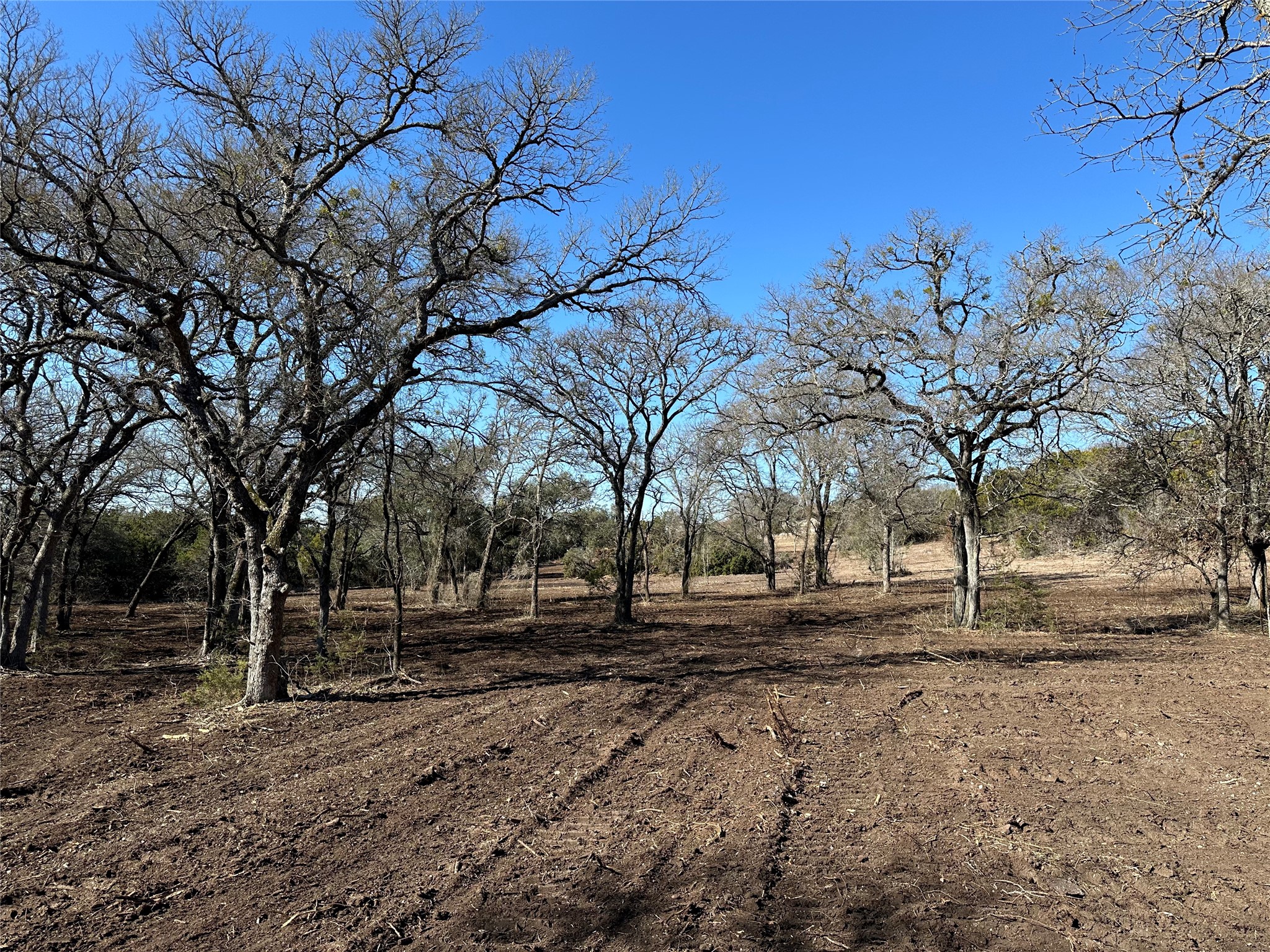 1 Fm 2955 Jonesboro, TX 76538 - Photo 1 of 1 a backyard of a house with lots of green space