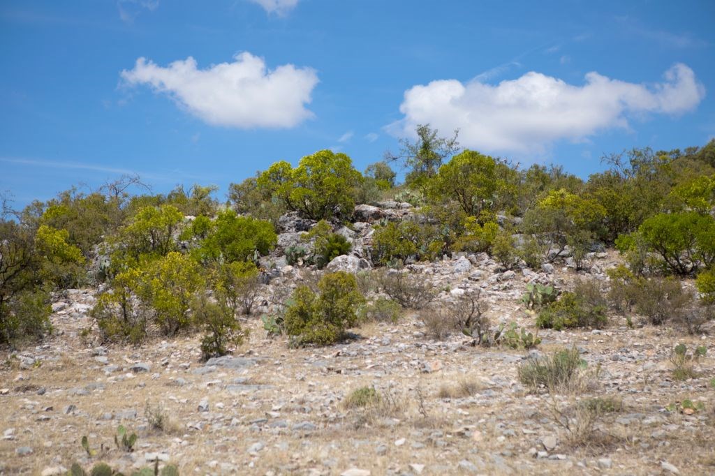 0 County Road 440 Rocksprings, TX 78880 - Photo 4 of 15 ROCK FORMATIONS