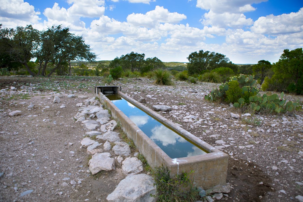 0 County Road 440 Rocksprings, TX 78880 - Photo 10 of 15 MULTIPLE WATER TROUGHS