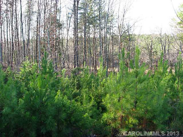 1312 Reflection Pointe Boulevard, Unit 331 Belmont, NC 28012 - Photo 2 of 11 a close up of a plant in a garden