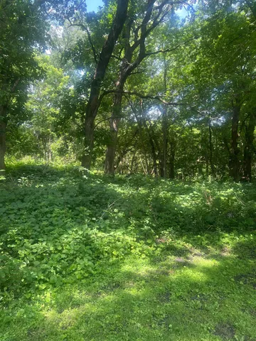 $20,000 | Tbd Lot 2-envelope 1 Tbd Road, Glenwood, MN 56334