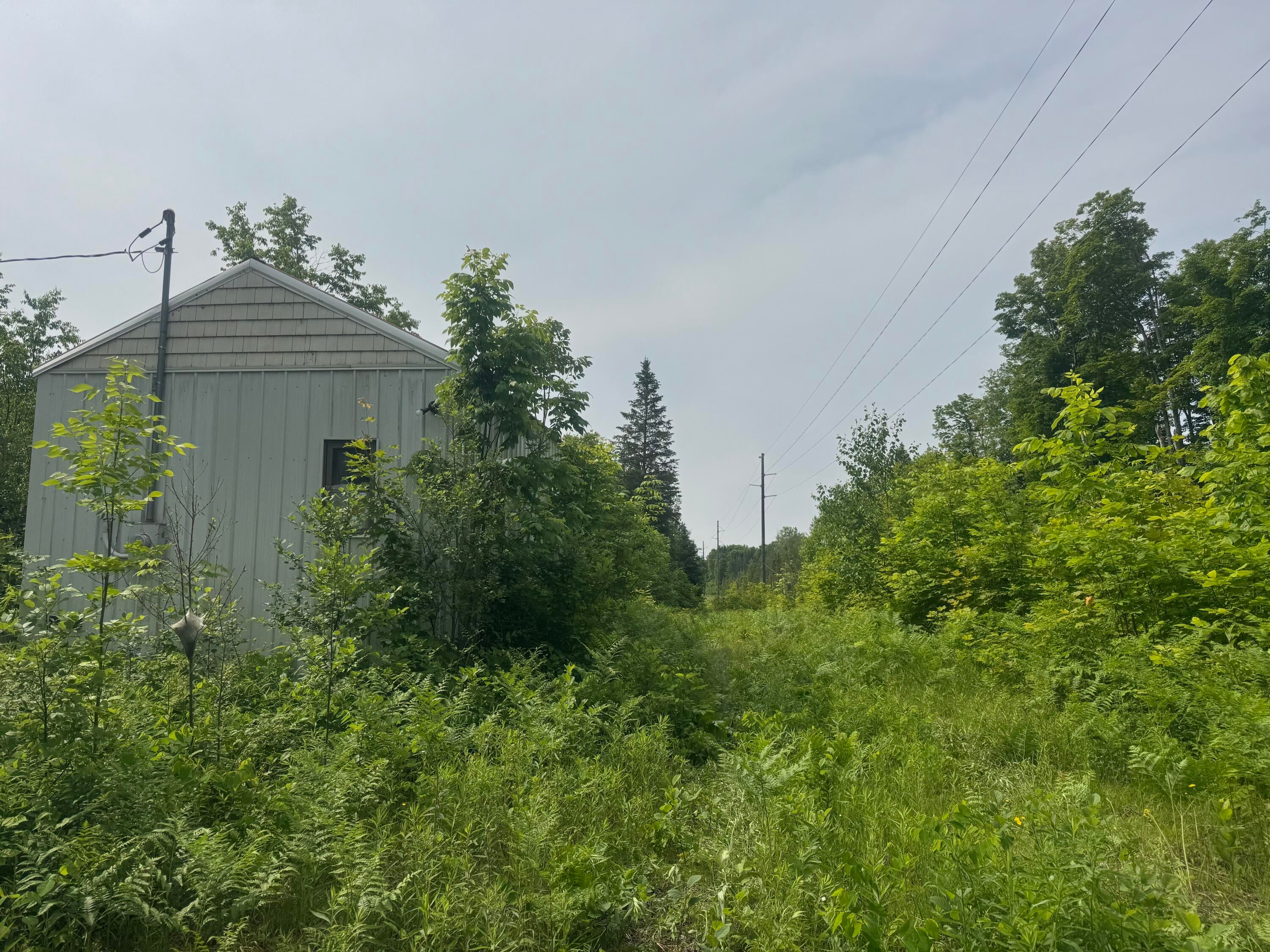 N4996 Ford Lake Road Germfask, MI 49836 - Photo 8 of 27 Gallery Image 8