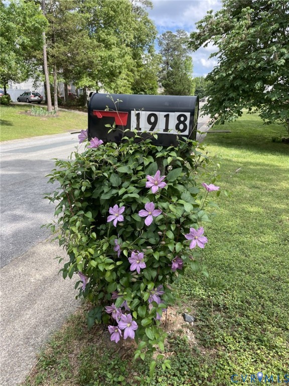 1918 Castle Glen Drive Chesterfield, VA 23236 - Photo 3 of 33 a picture of flowers