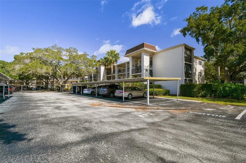 870 Virginia Street, Unit 312 Dunedin, FL 34698 - Photo 1 of 1 a view of a house with a yard