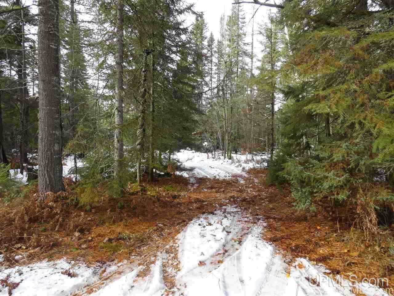 80-acres 80-acres Co Road Negaunee, MI 49866 - Photo 2 of 45