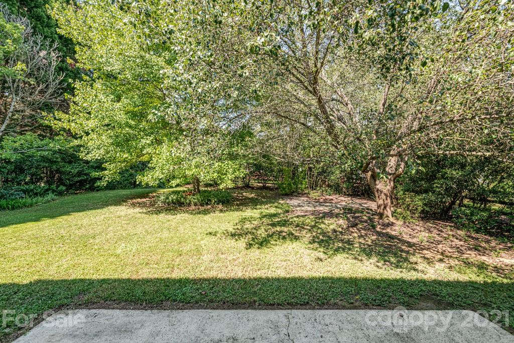 4516 Brownes Ferry Road Charlotte, NC 28269 - Photo 28 of 32 a view of a yard with a tree