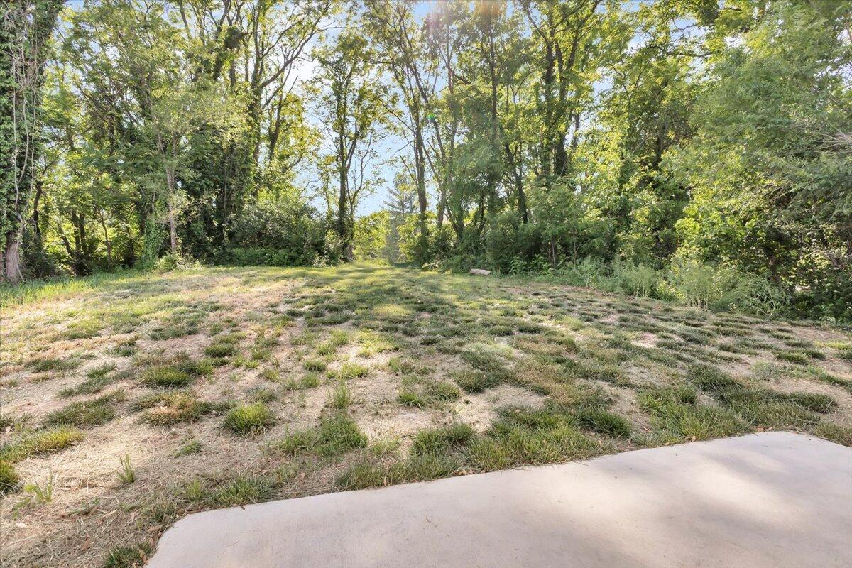 1624 24th Street Northeast Roanoke, VA 24012 - Photo 23 of 25 a view of a yard with trees