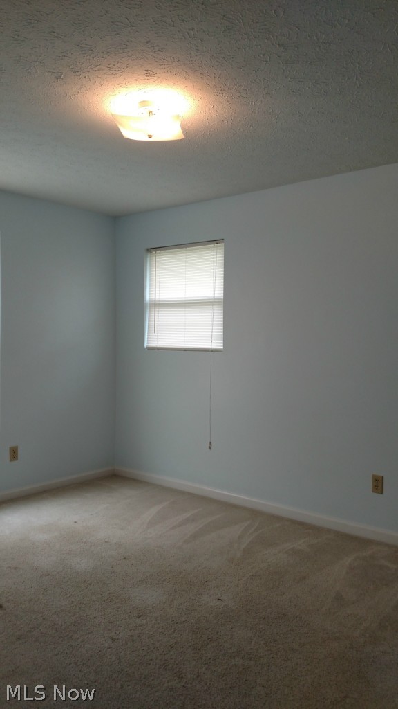 8679 Ridge Road Wooster, OH 44691 - Photo 19 of 25 Gallery Image 19