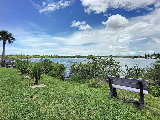 a view of a lake in middle of the forest