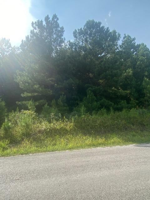 151 Casson Road Ocoee, TN 37361 - Photo 3 of 4 a view of a yard