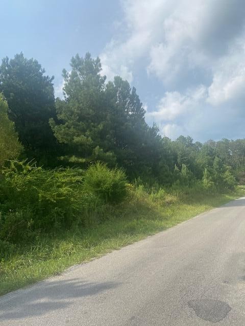 151 Casson Road Ocoee, TN 37361 - Photo 4 of 4