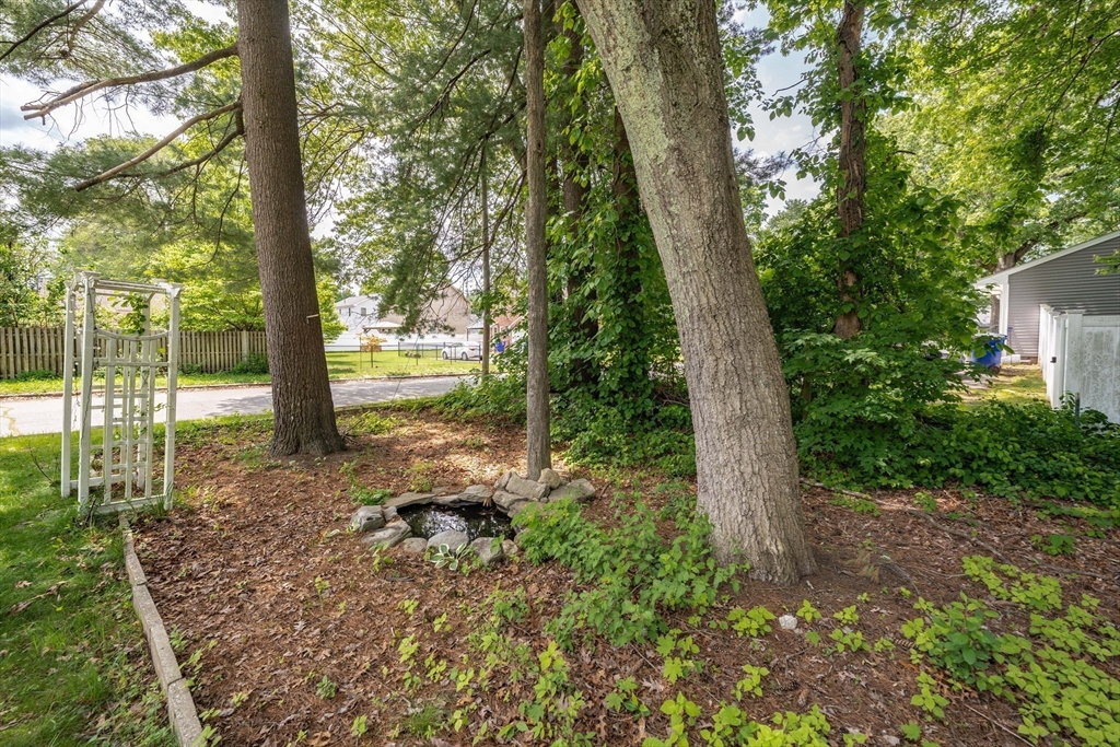 226 Dutchess Street Springfield, MA 01129 - Photo 33 of 39 a view of a yard with plants and large trees