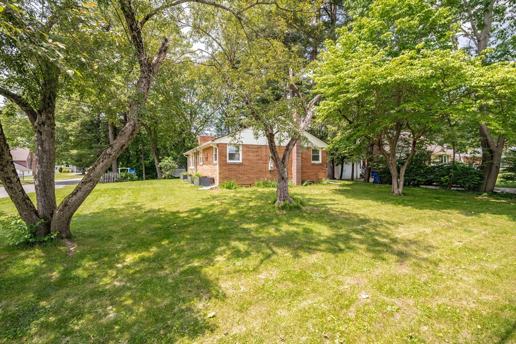 226 Dutchess Street Springfield, MA 01129 - Photo 36 of 39 a house view with swimming pool
