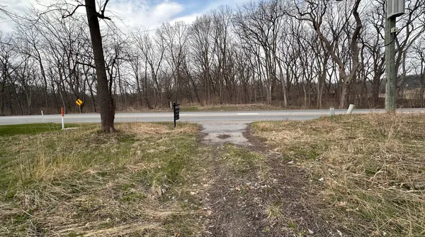 a view of a yard with trees