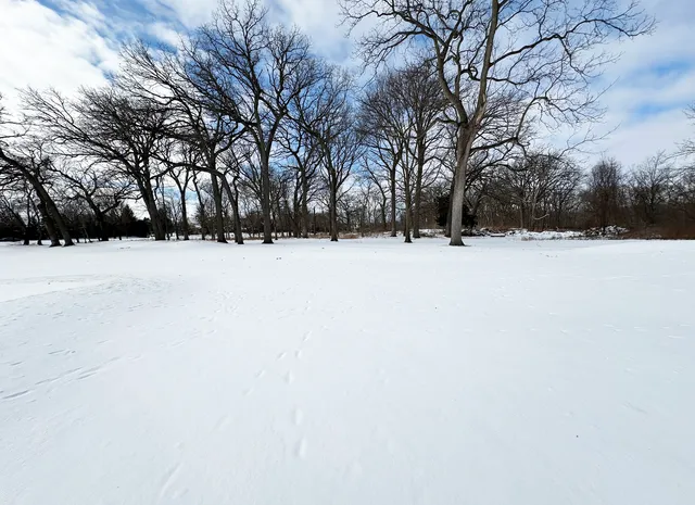 $450,000 | Lot 1 Royal Fox Drive, Willowbrook, IL 60527