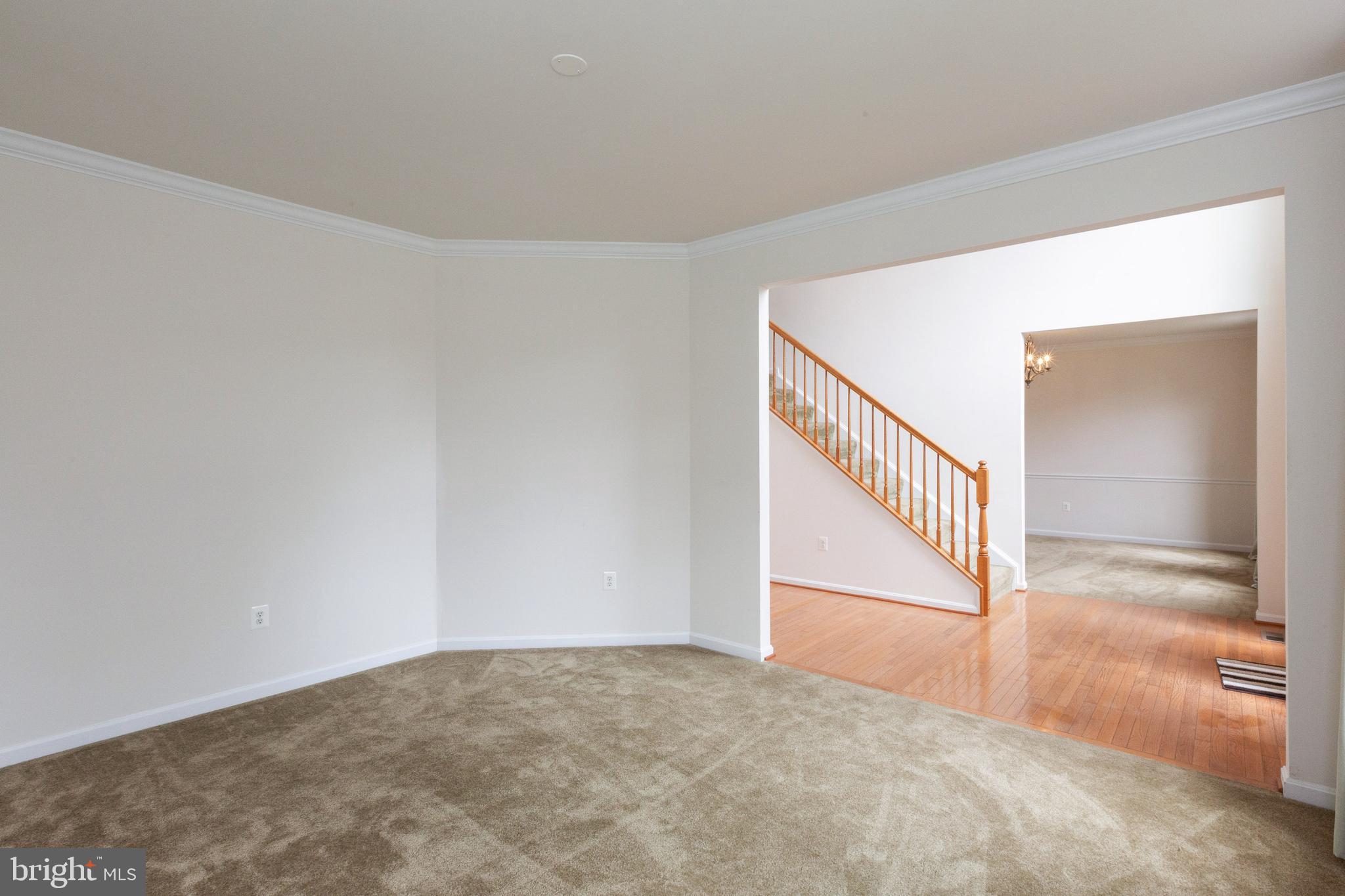 8740 Ellis Mill Drive Gainesville, VA 20155 - Photo 7 of 52