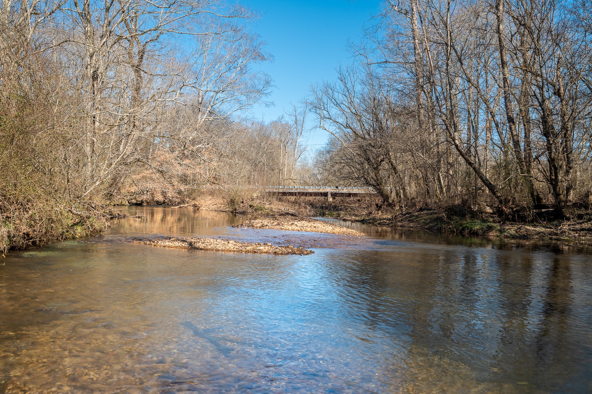 a view of swimming pool next to a building with large trees