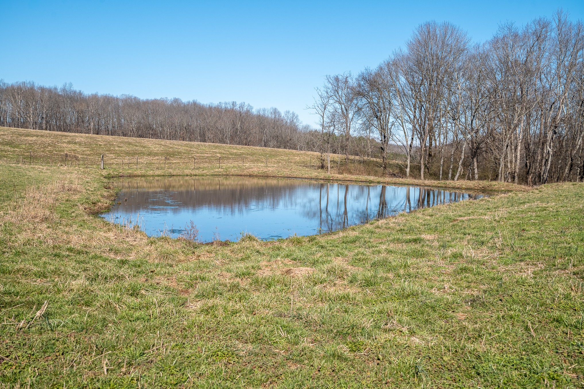 0 Fall River Road Leoma, TN 38468 - Photo 11 of 45