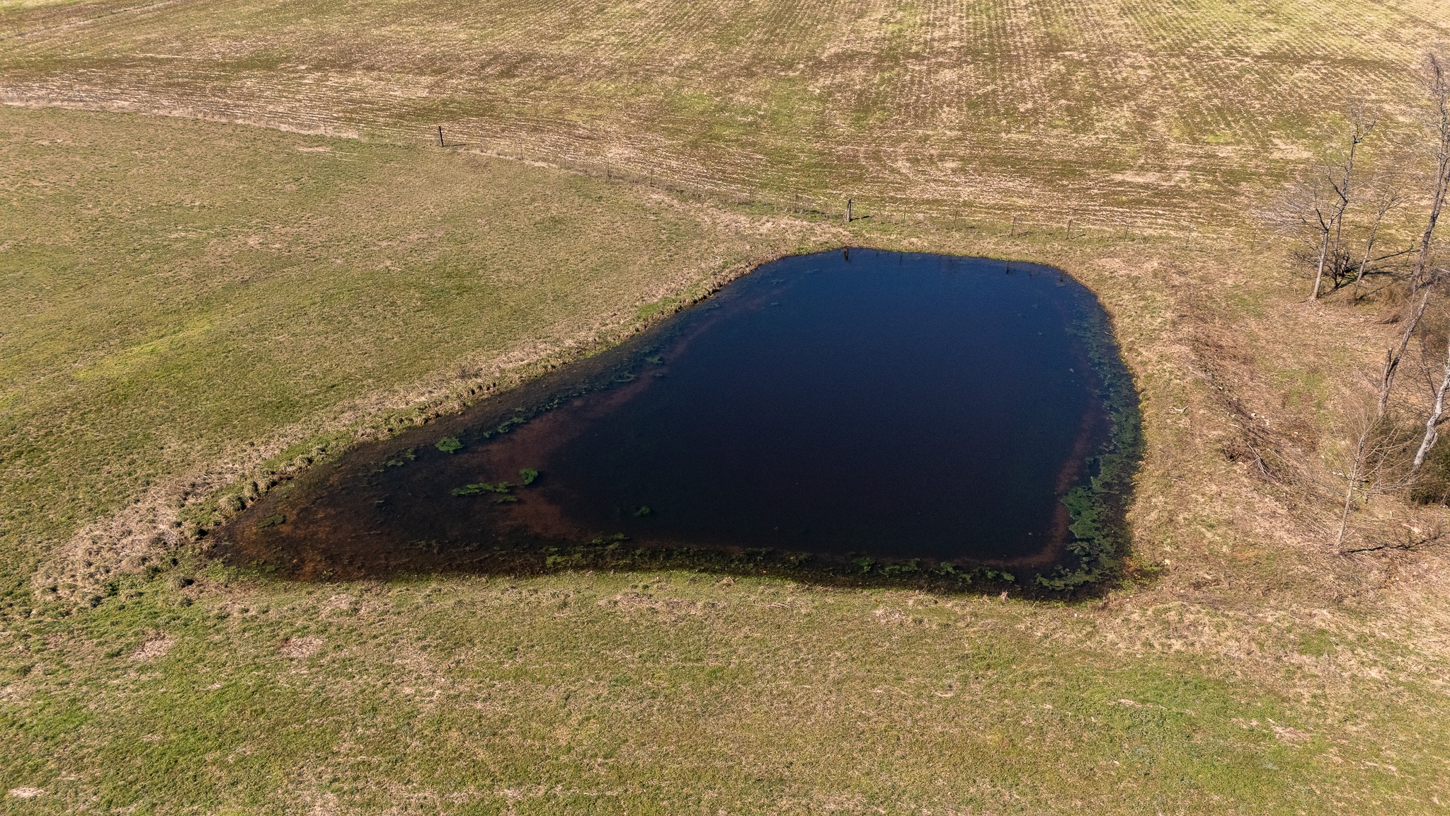 0 Fall River Road Leoma, TN 38468 - Photo 15 of 45