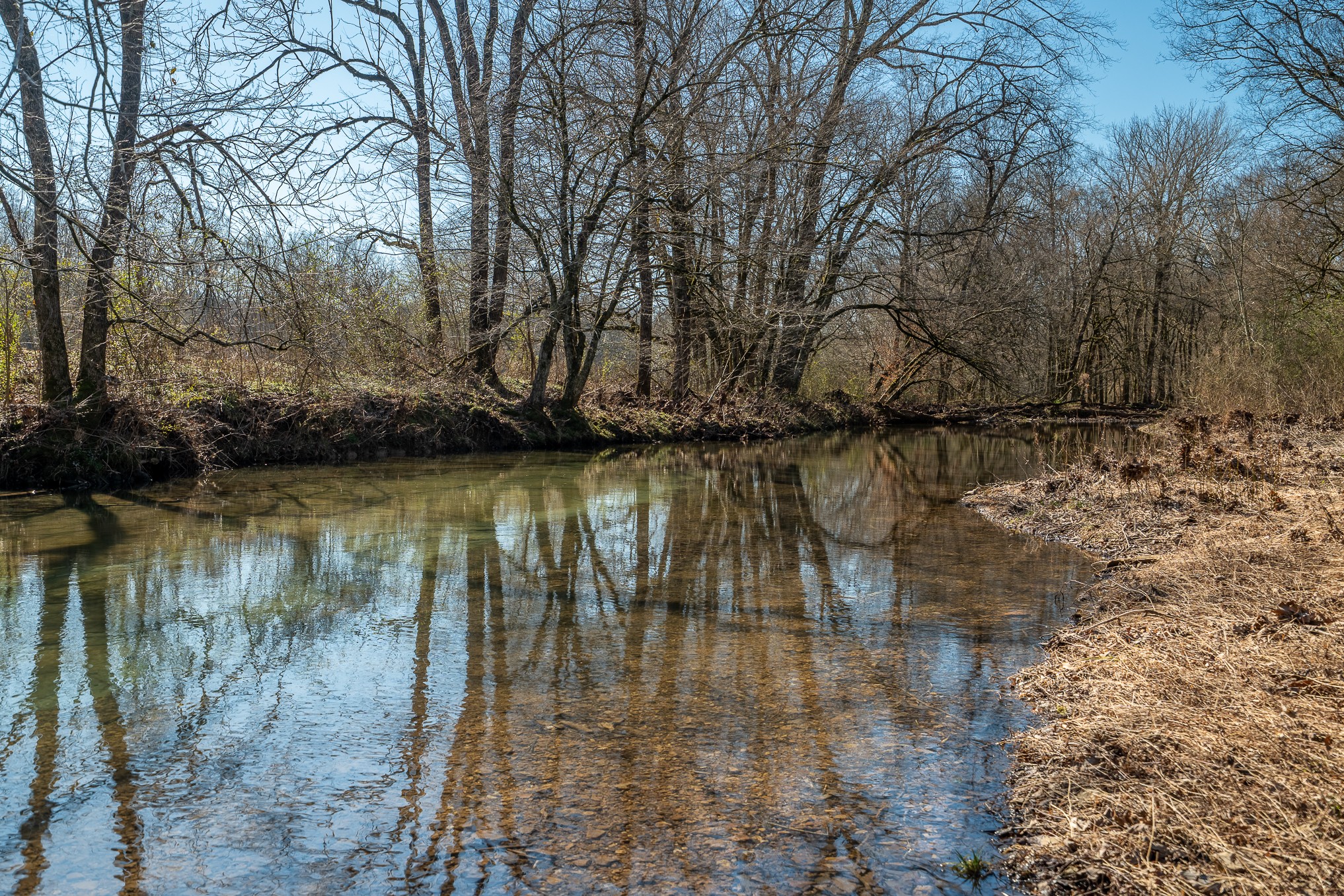 0 Fall River Road Leoma, TN 38468 - Photo 2 of 45 a view of a lake with a yard