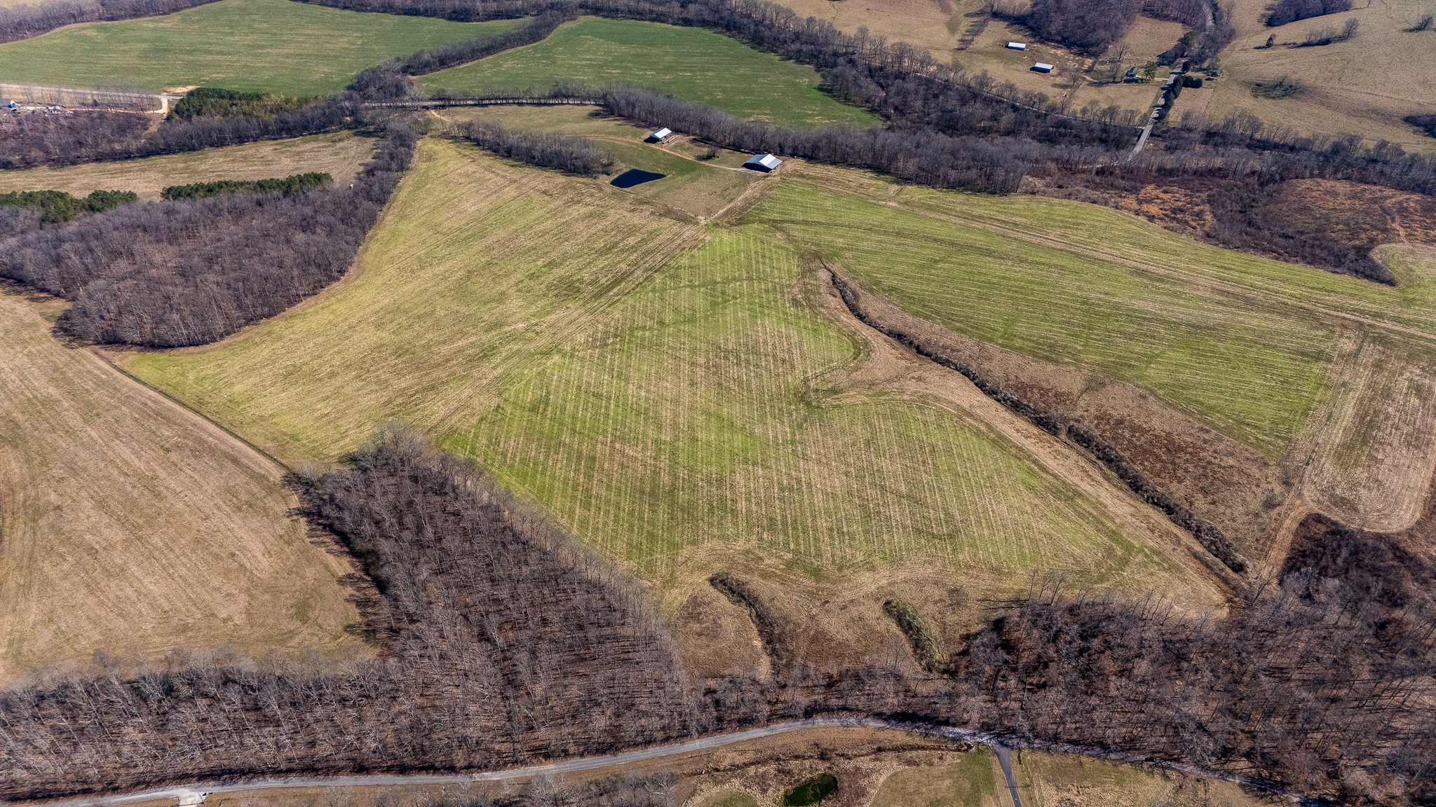 0 Fall River Road Leoma, TN 38468 - Photo 28 of 45 a view of a yard