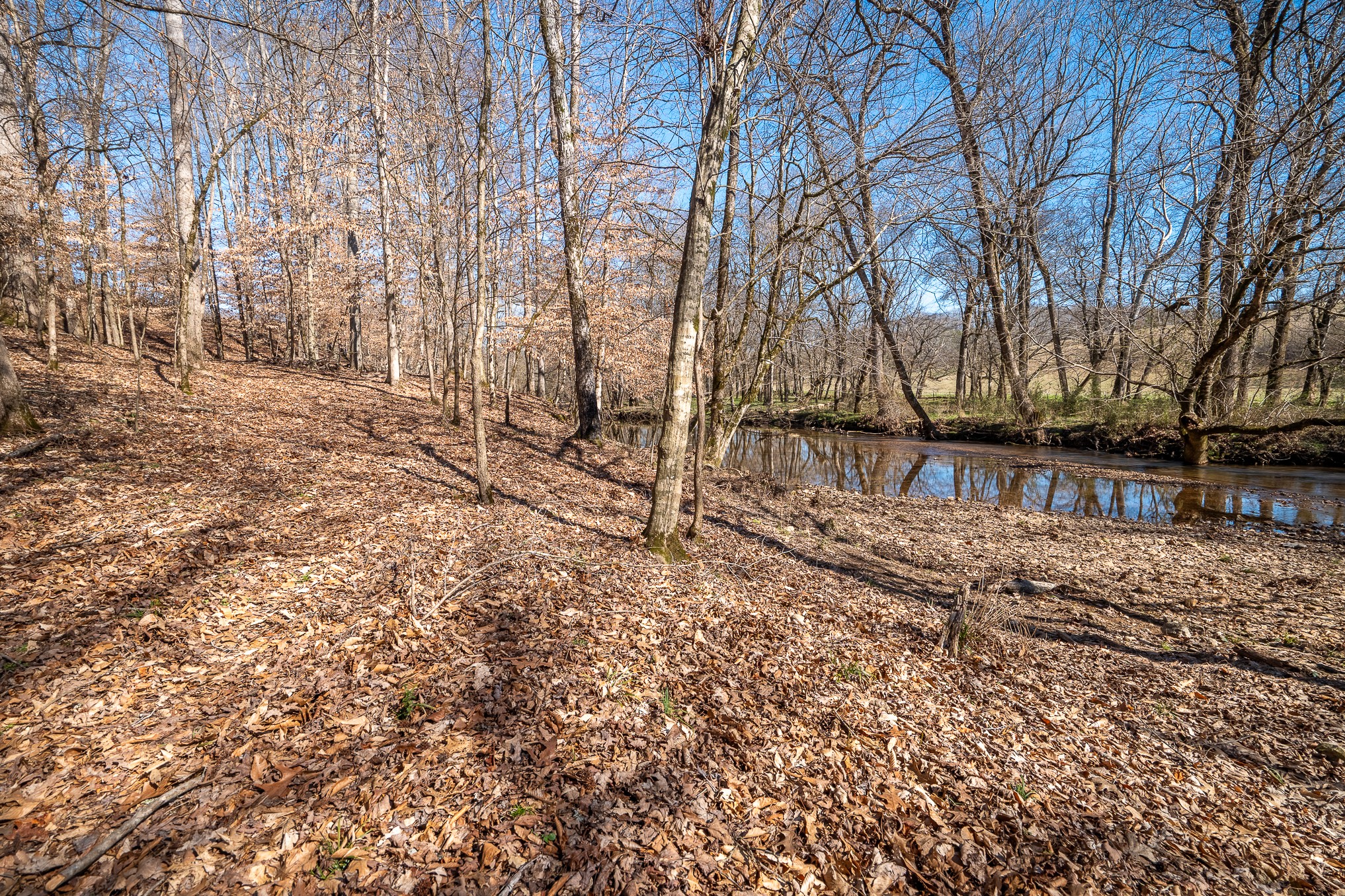 0 Fall River Road Leoma, TN 38468 - Photo 3 of 45 a backyard of a house with lots of green space