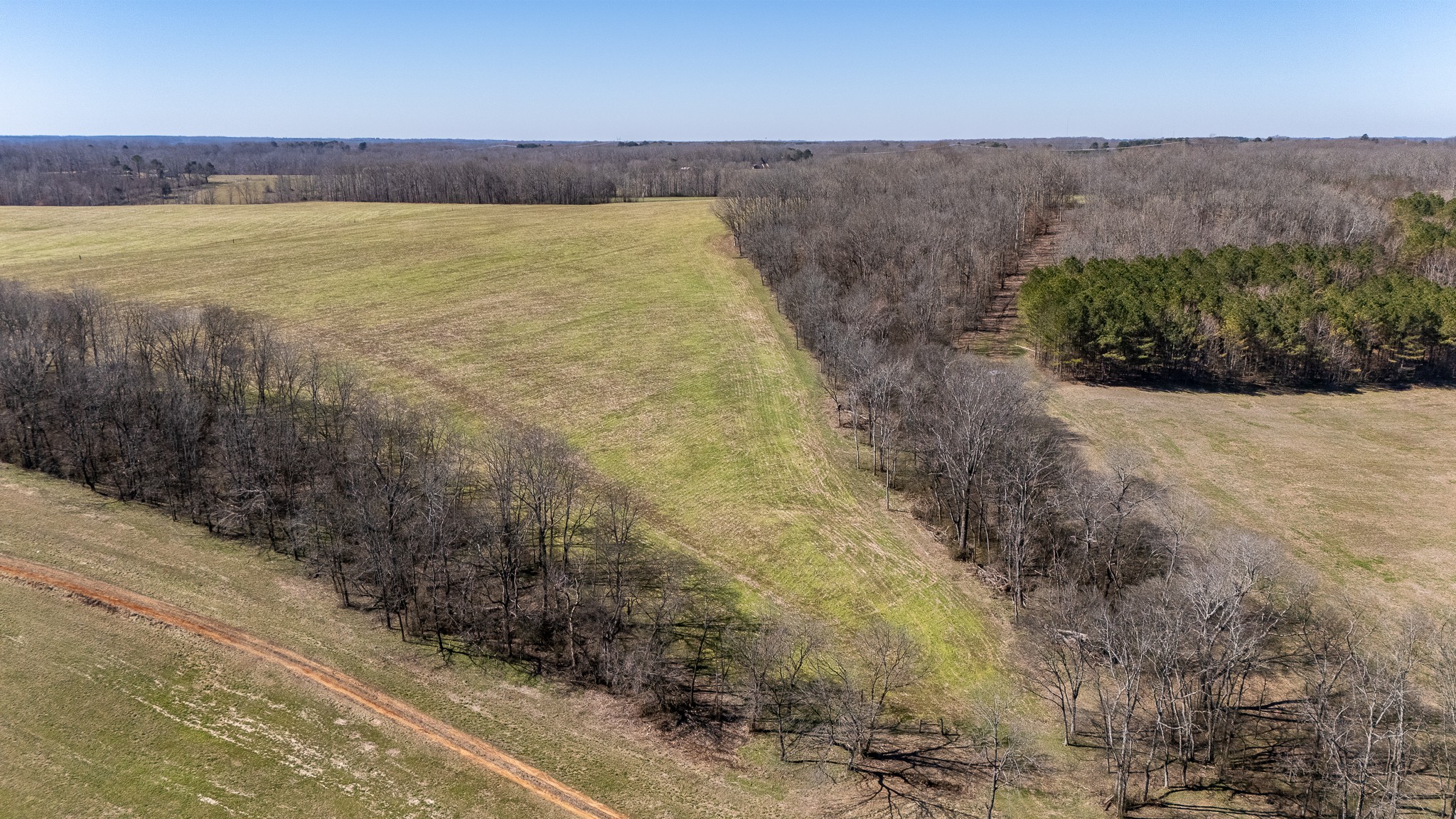 0 Fall River Road Leoma, TN 38468 - Photo 39 of 45 a view of a walk in yard
