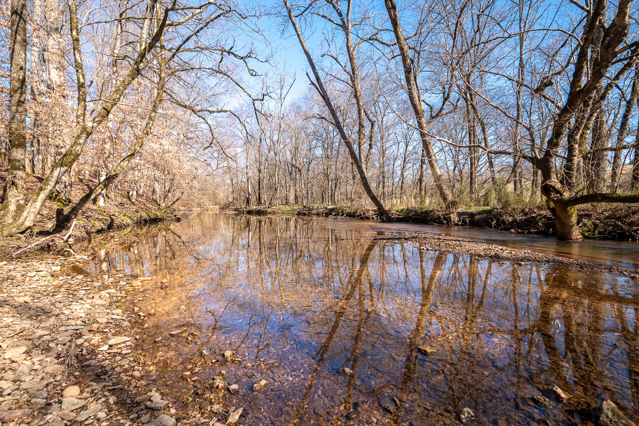 0 Fall River Road Leoma, TN 38468 - Photo 4 of 45 a view of swimming pool with yard and tree in the back
