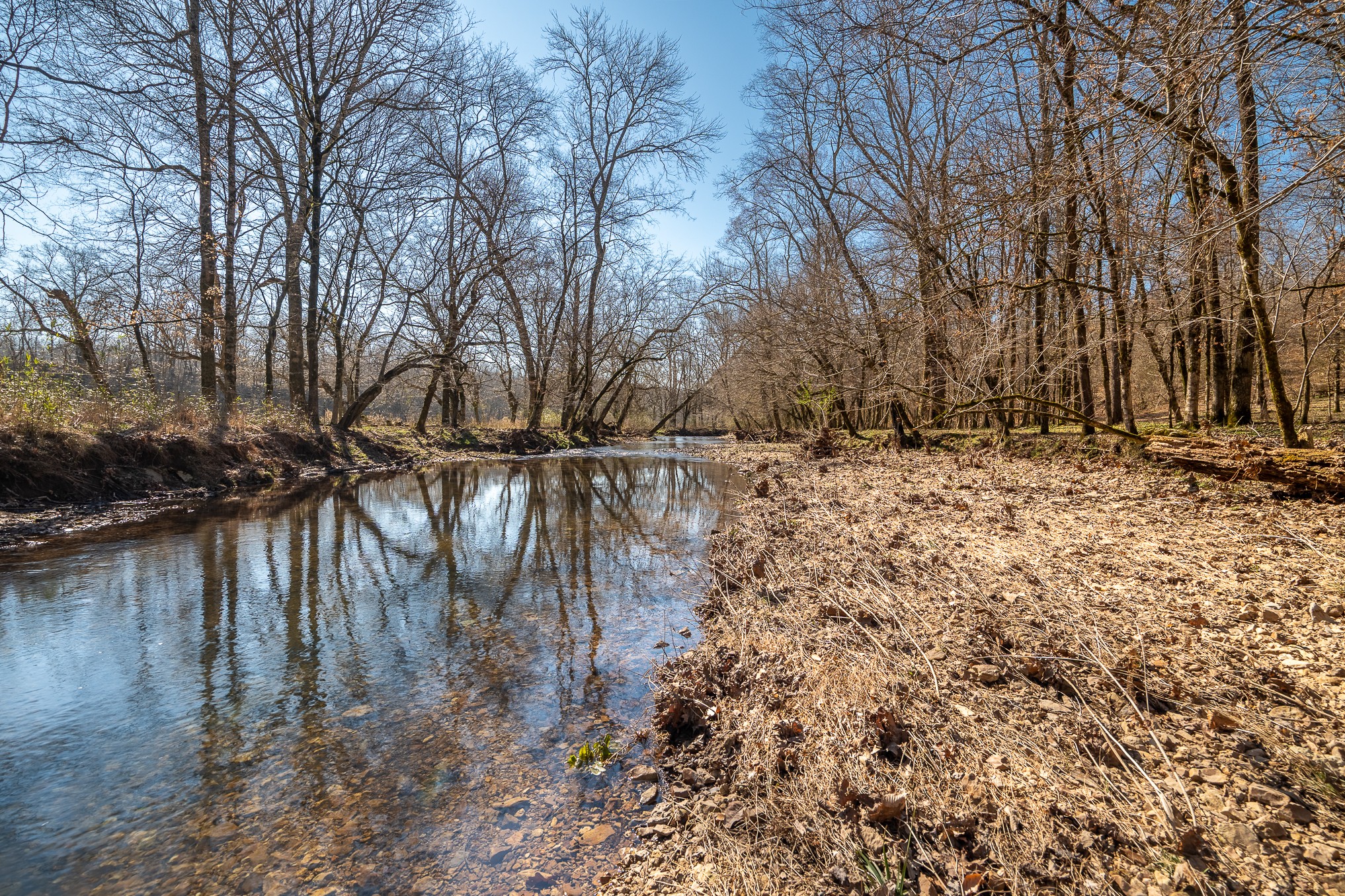 0 Fall River Road Leoma, TN 38468 - Photo 7 of 45 a backyard of a house with lots of green space