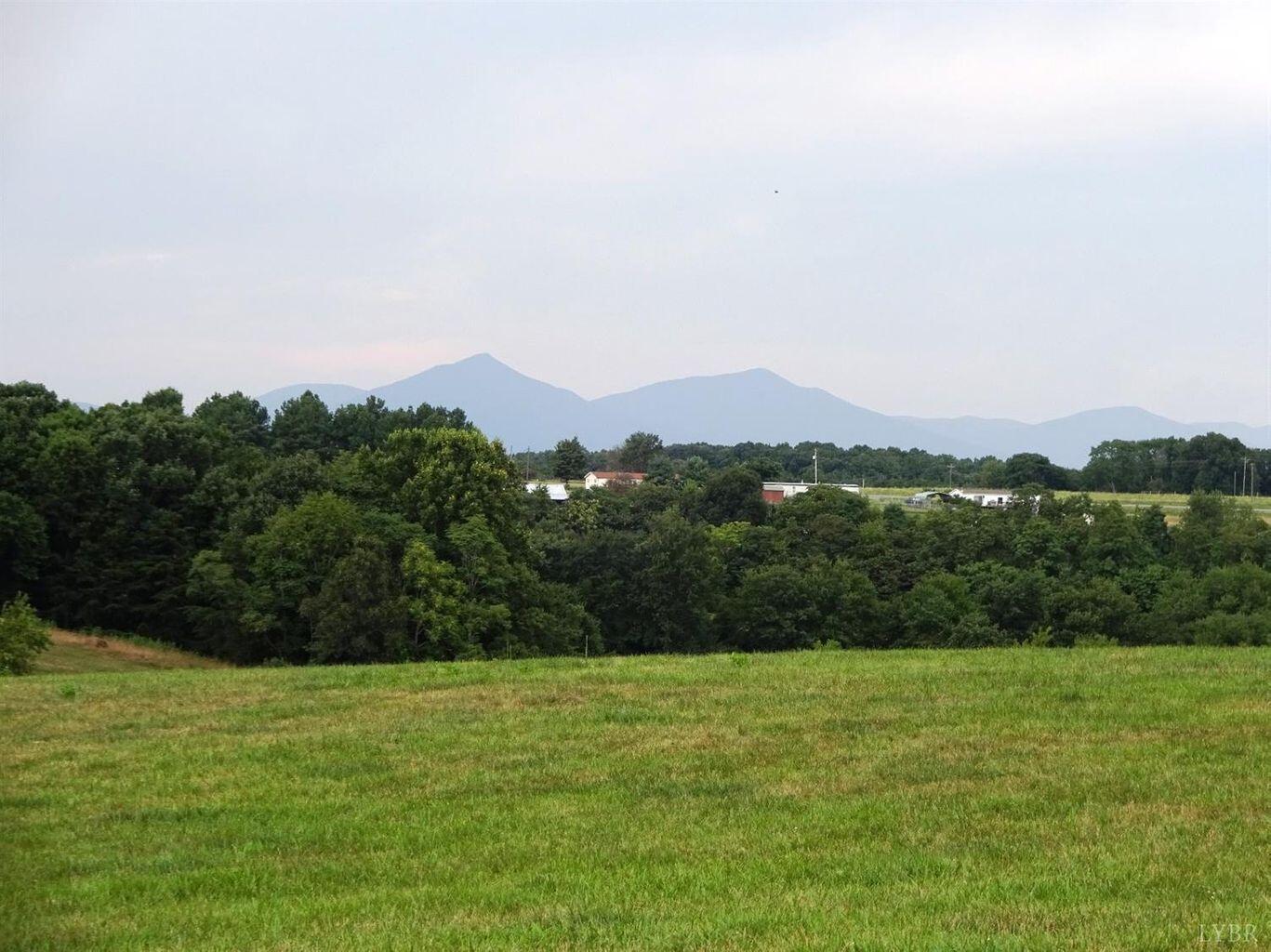 0 Joppa Mill Road Moneta, VA 24121 - Photo 3 of 23 20180719143620643503000000-o