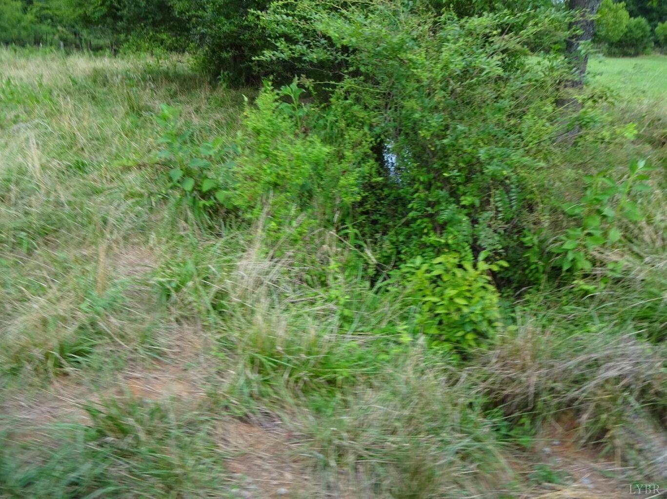 0 Joppa Mill Road Moneta, VA 24121 - Photo 4 of 23 20180719143628527535000000-o