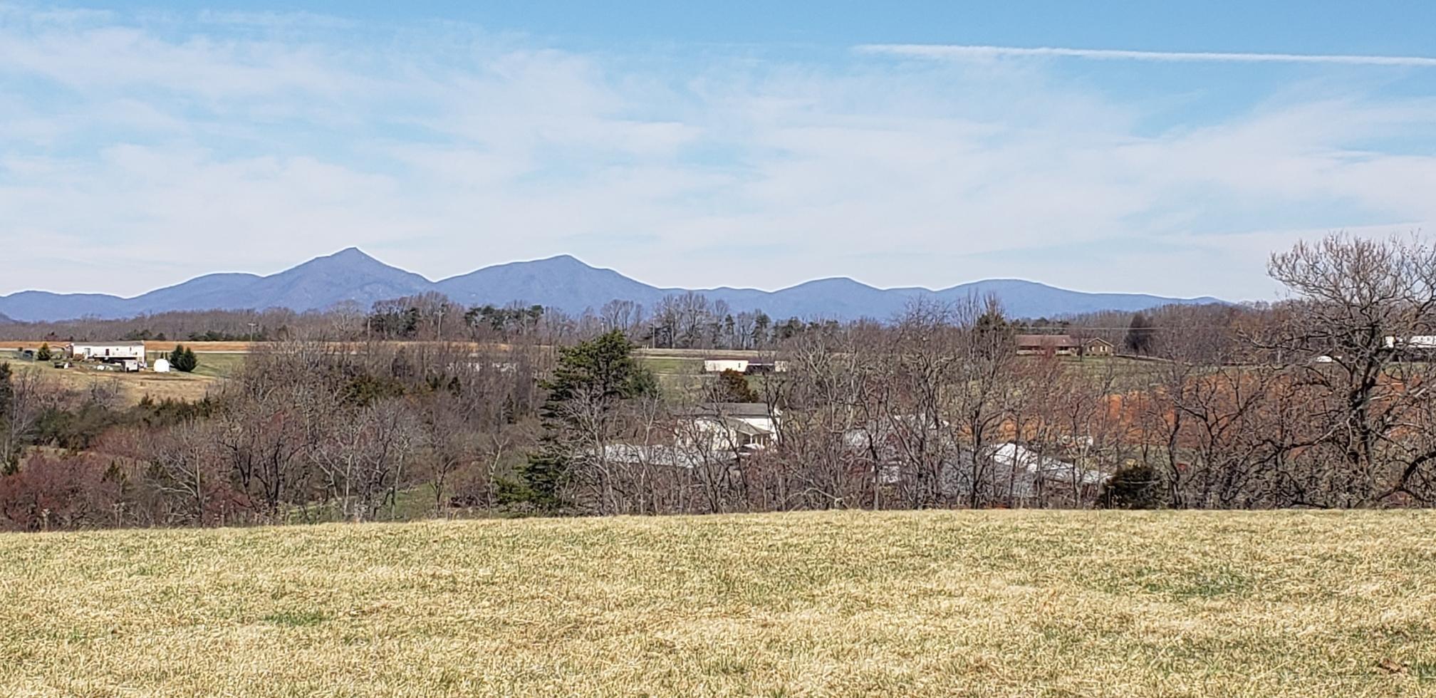 0 Joppa Mill Road Moneta, VA 24121 - Photo 9 of 23 Resized952022030895114705