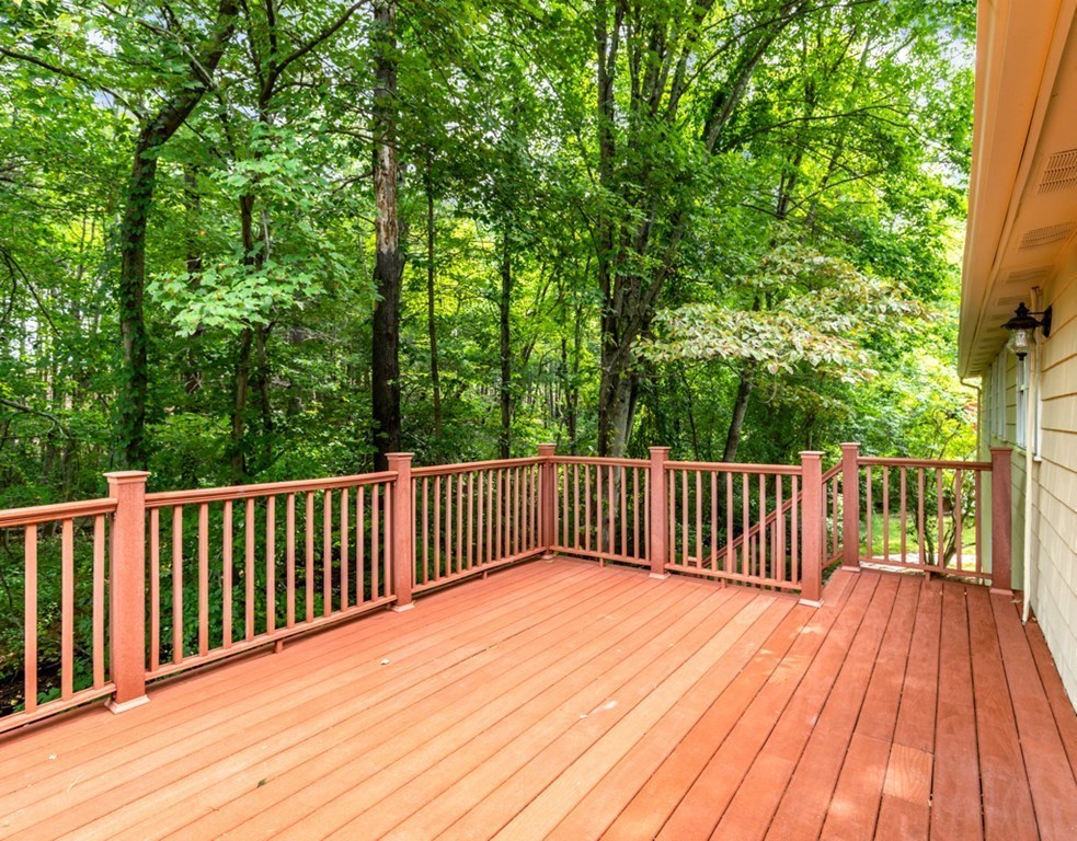 46 Meadowbrook Road Bedford, MA 01730 - Photo 23 of 29 Gallery Image 23