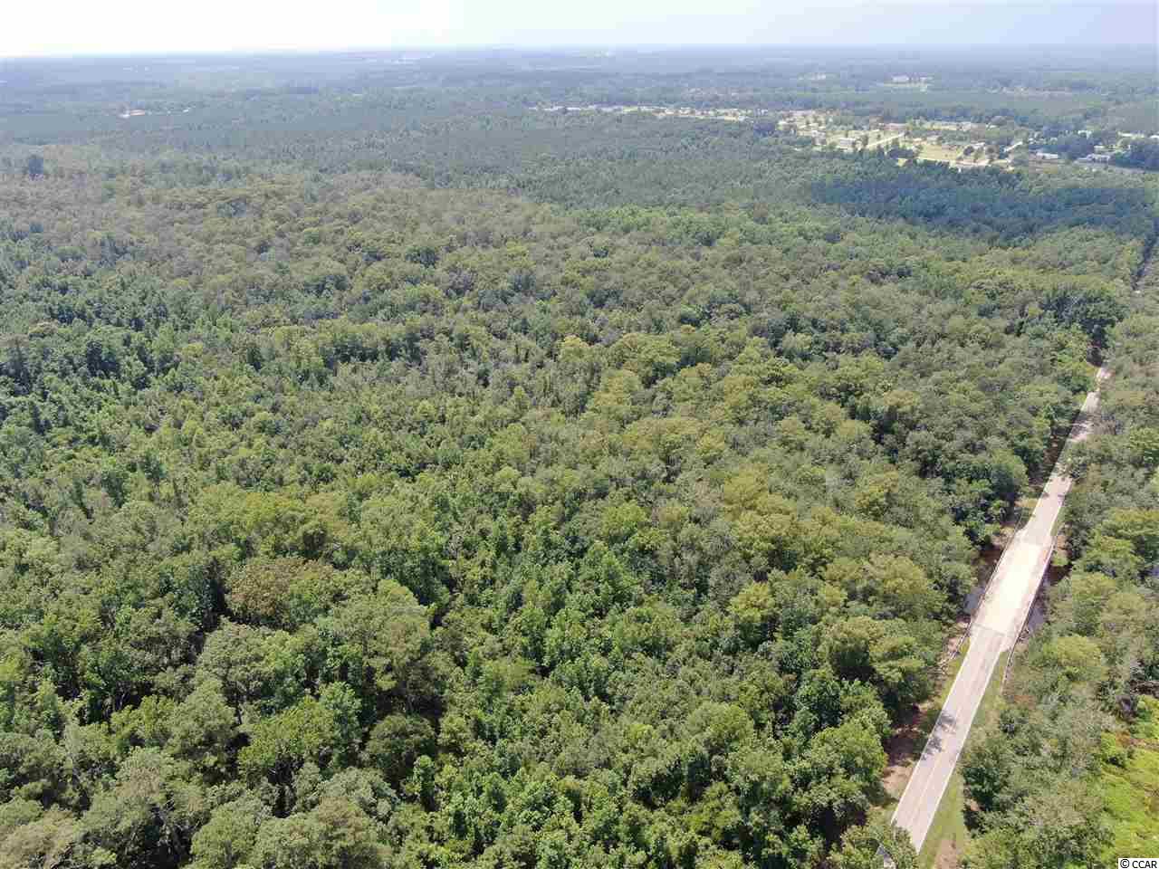 Tbd Oakland Road Hamer, SC 29547 - Photo 2 of 10 Gallery Image 2