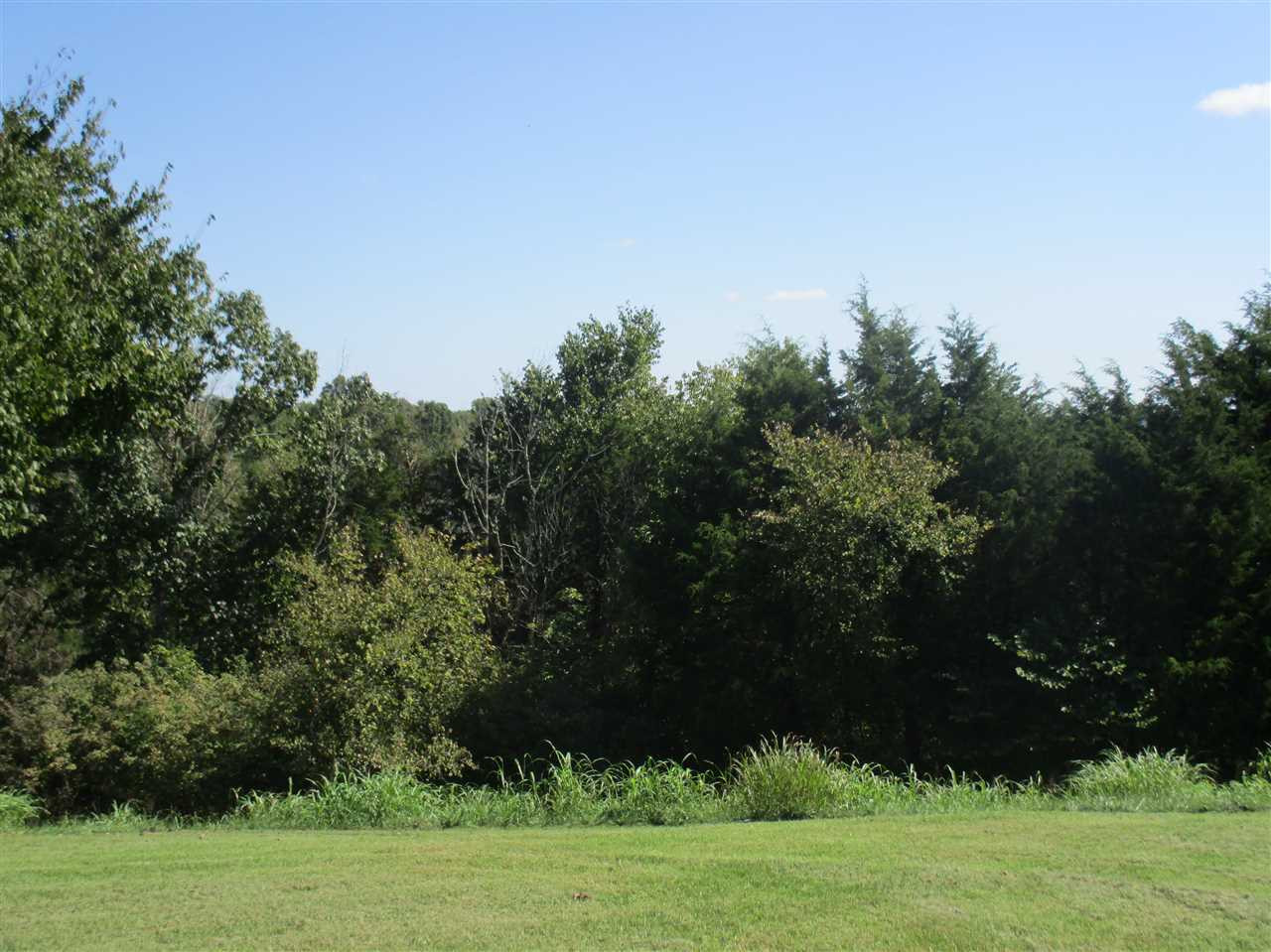 2191 Liberty Ridge Road Falmouth, KY 41040 - Photo 14 of 45 Gallery Image 14