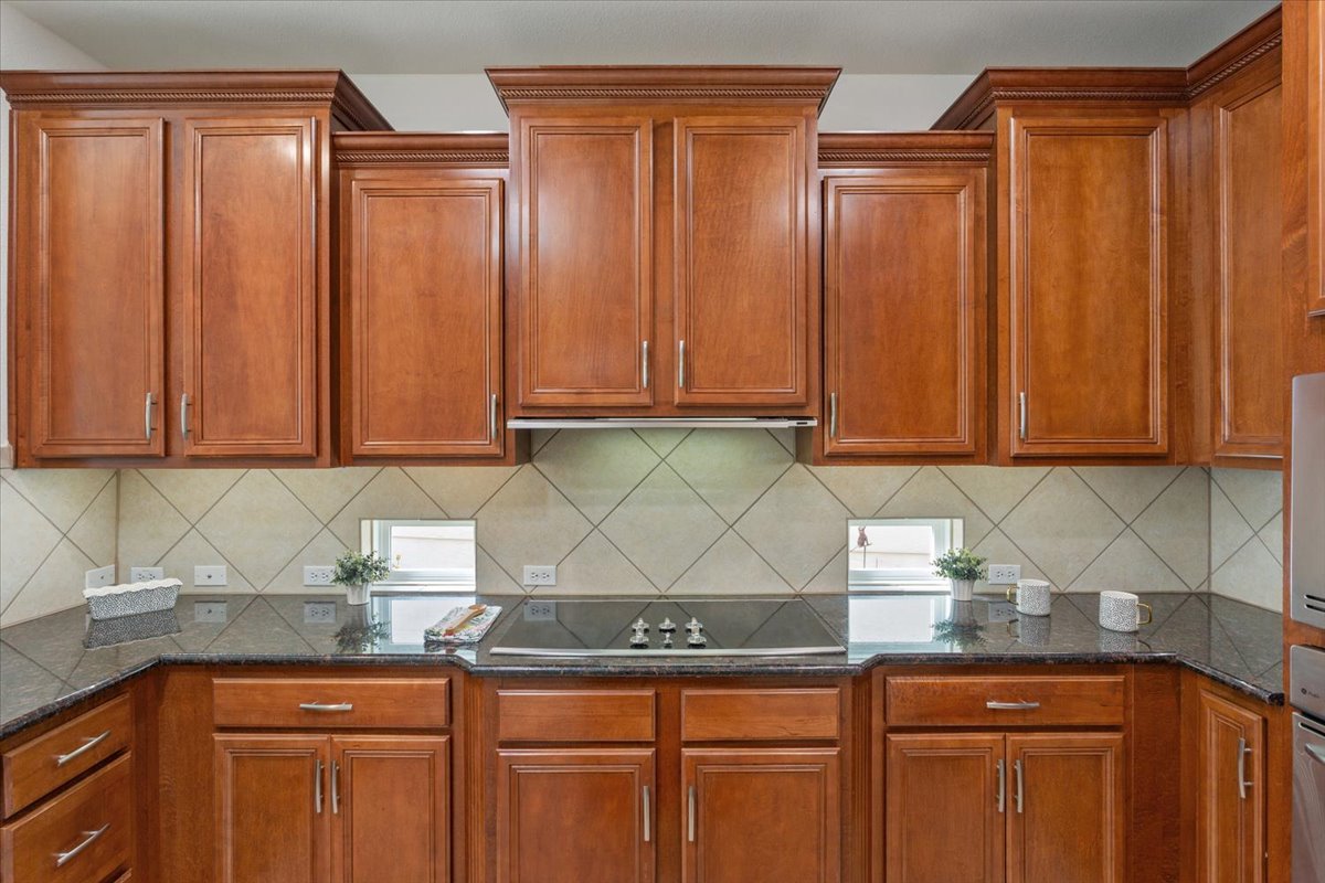 308 Monarch Trail Georgetown, TX 78633 - Photo 13 of 39