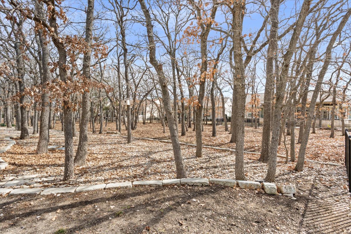 308 Monarch Trail Georgetown, TX 78633 - Photo 37 of 39