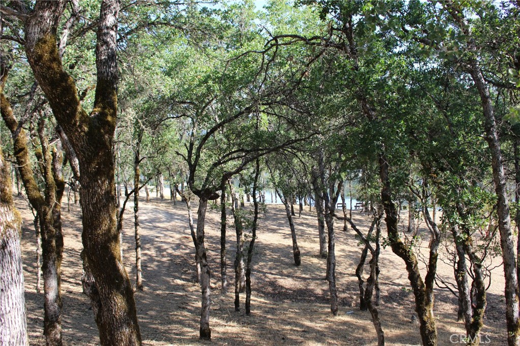 18702 East Ridge View Drive Hidden Valley Lake, CA 95467 - Photo 4 of 18 a view of outdoor space with lots of trees