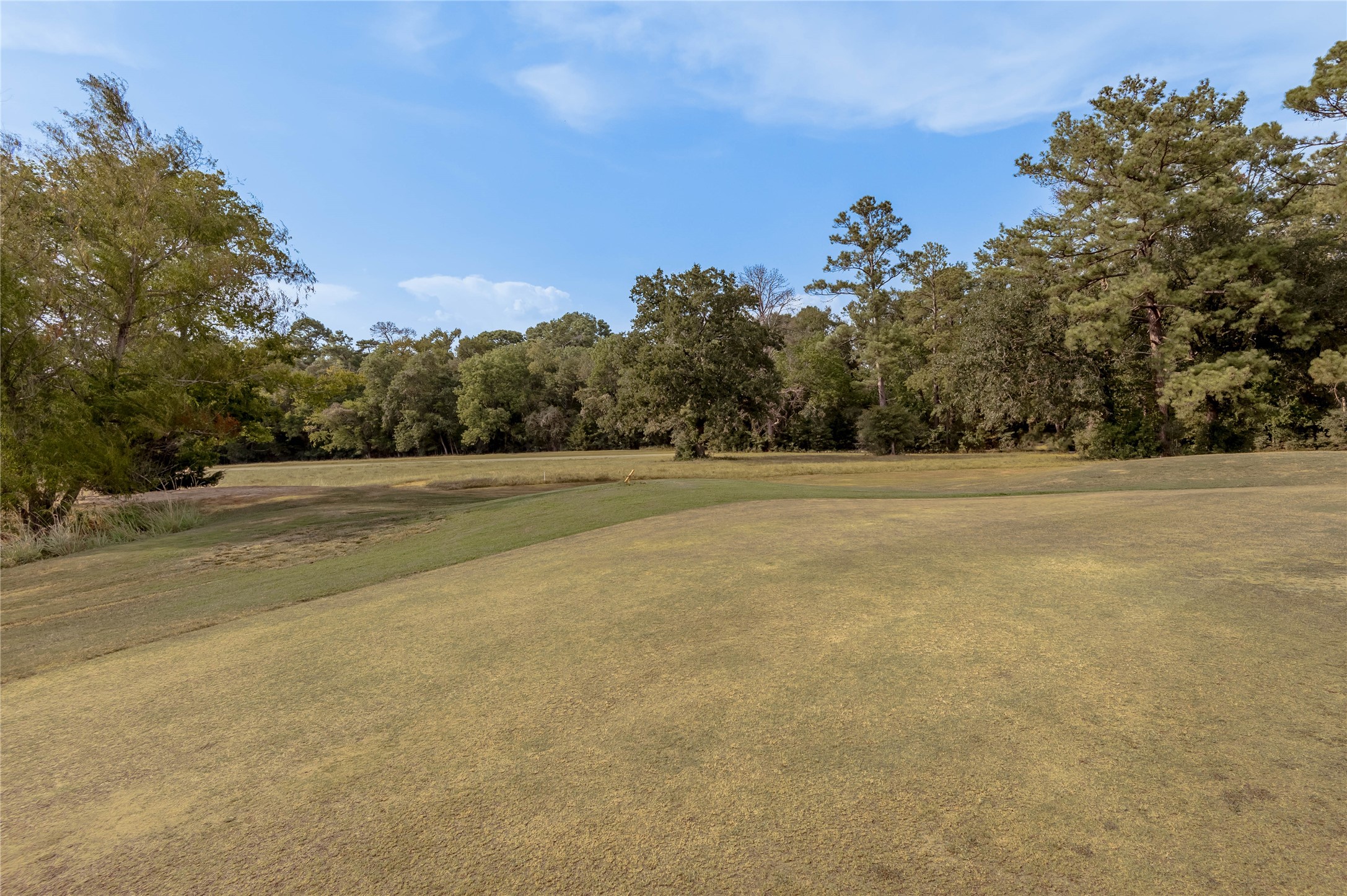 Lot 2 Charleston Street Trinity, TX 75862 - Photo 11 of 25