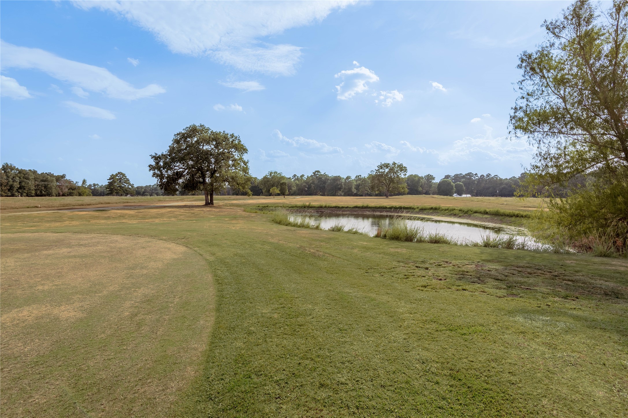 Lot 2 Charleston Street Trinity, TX 75862 - Photo 12 of 25