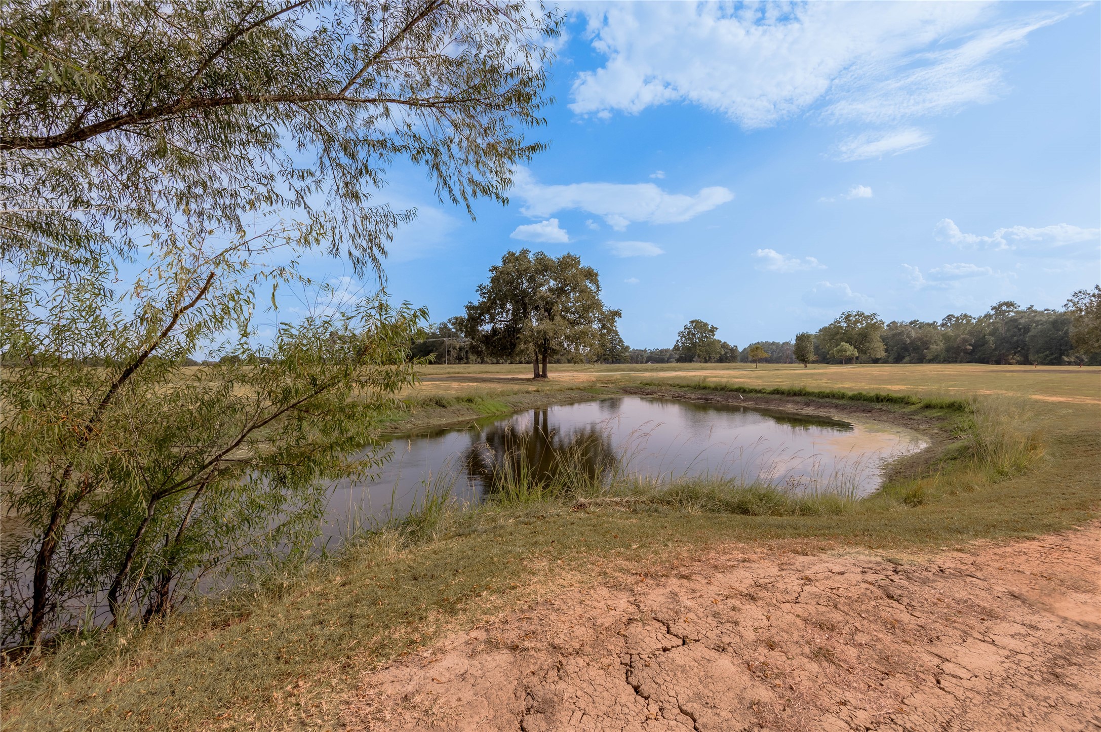 Lot 2 Charleston Street Trinity, TX 75862 - Photo 14 of 25