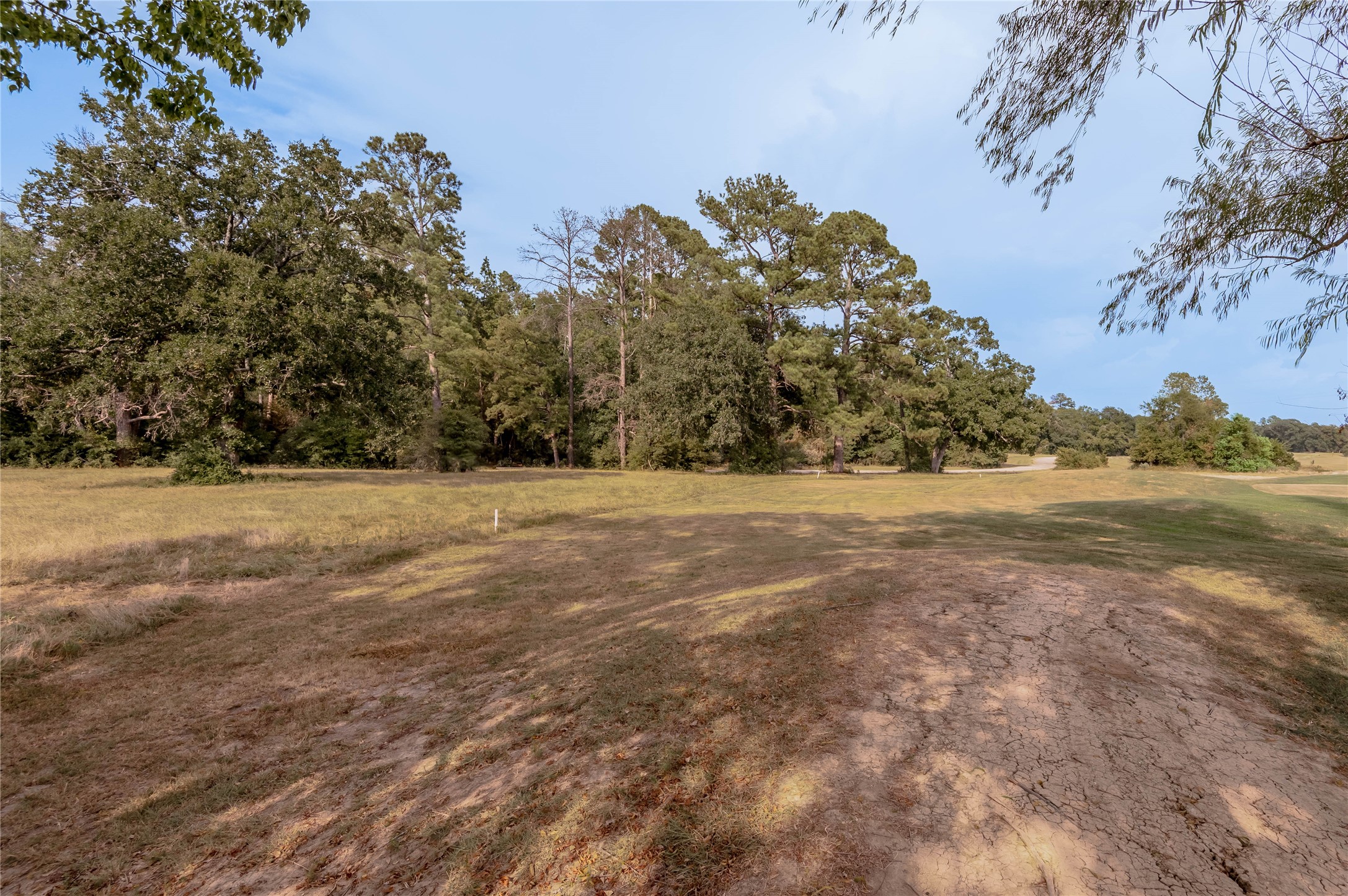 Lot 2 Charleston Street Trinity, TX 75862 - Photo 15 of 25