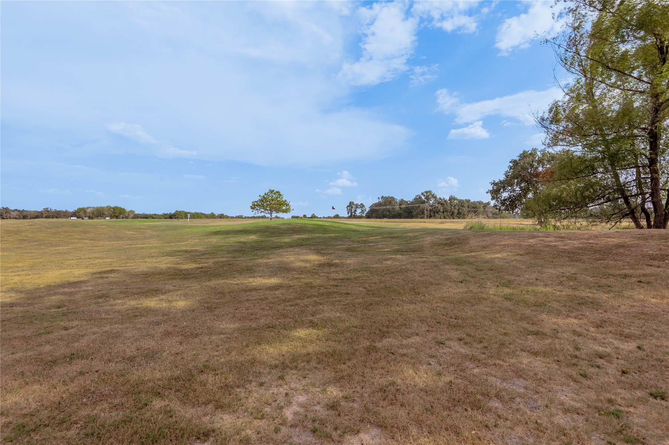 Lot 2 Charleston Street Trinity, TX 75862 - Photo 16 of 25