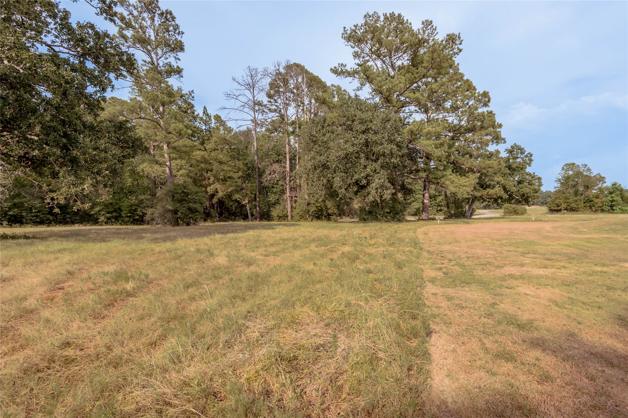 Lot 2 Charleston Street Trinity, TX 75862 - Photo 17 of 25