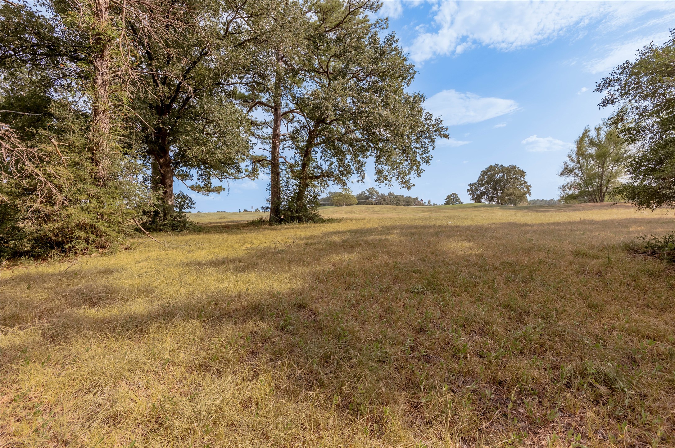 Lot 2 Charleston Street Trinity, TX 75862 - Photo 19 of 25